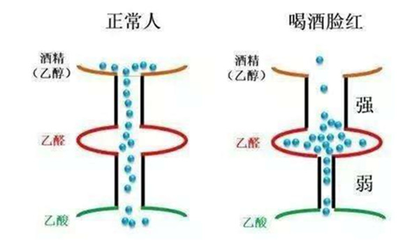 1瓶啤酒几小时吹不出来 具体还是因人而异