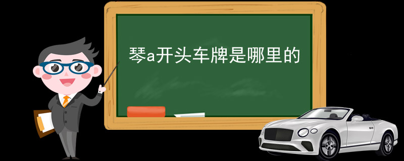 琴a开头车牌是哪里的