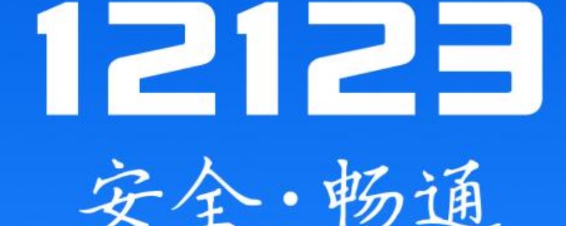 12123备案车辆不显示