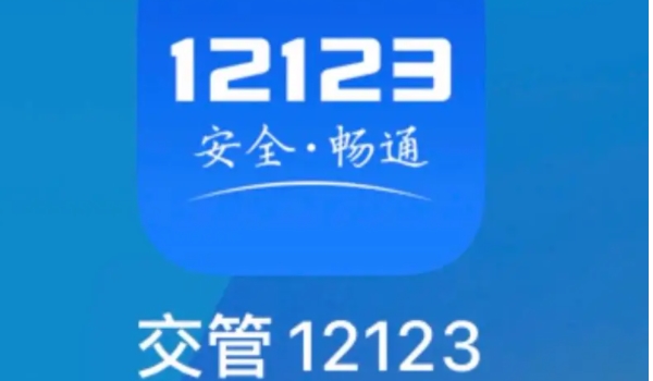 交管12123免检车申领检验标志找不到