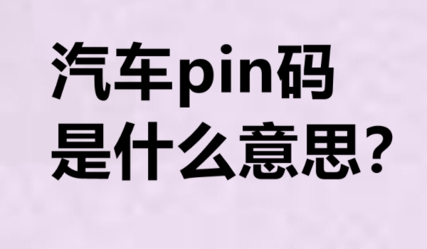 PIN是什么意思 汽车PIN码是车辆的识别码