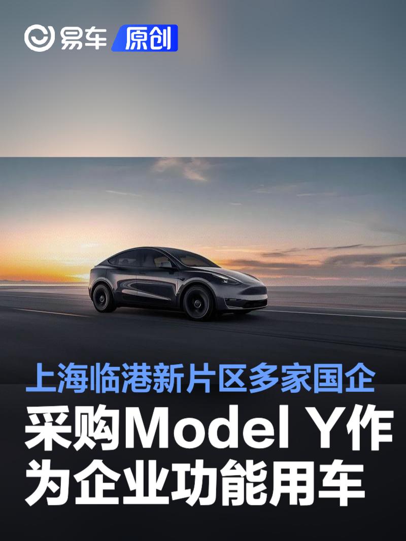 上海临港新片区多家国企采购特斯拉Model Y作为企业功能用车