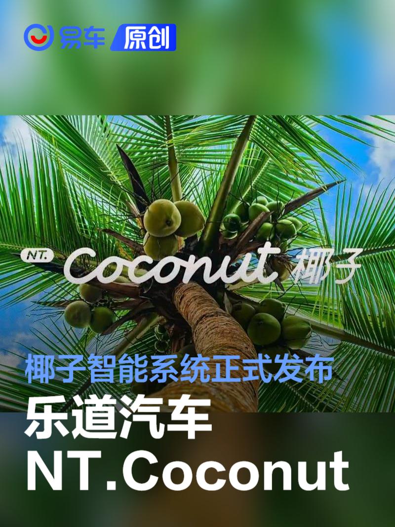 乐道汽车发布NT.Coconut椰子智能系统 智能驾驶OSD同步首发