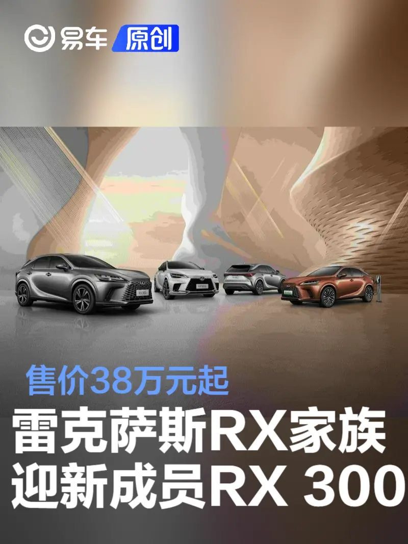 雷克萨斯RX家族迎来新成员RX 300 售价38万元起